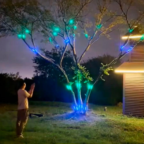 Early Christmas Promotion 49% OFF 🎅2025 New DIY Festive Ambient Light 🎁