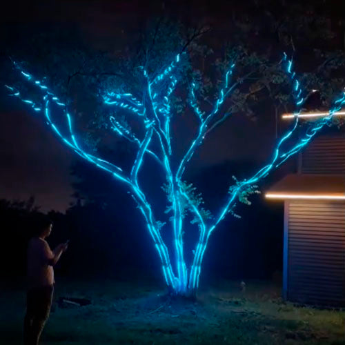 Early Christmas Promotion 49% OFF 🎅2025 New DIY Festive Ambient Light 🎁