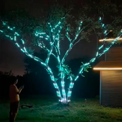 Early Christmas Promotion 49% OFF 🎅2025 New DIY Festive Ambient Light 🎁
