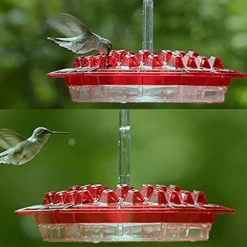 🎉 Promotion-49% OFF 🎉 Sweety Hummingbird Feeder
