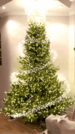 giphy__PID:0e88cb4f-713b-48fd-b72a-9efb1b996d83