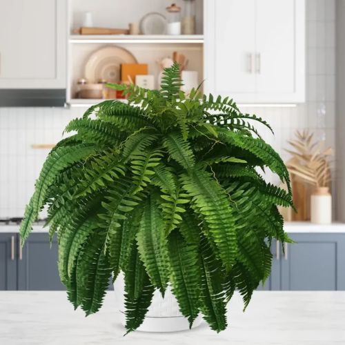 💥UV Resistant Lifelike Artificial Boston Fern