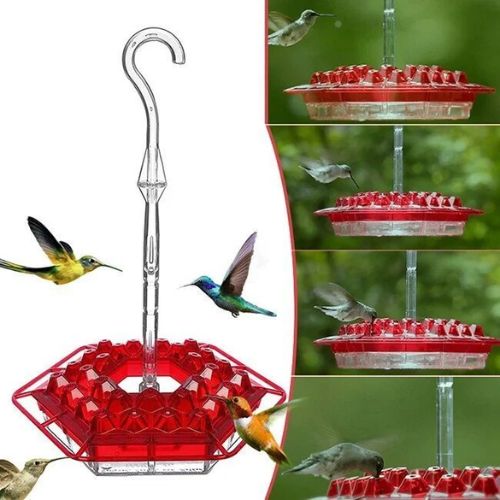 🎉 Promotion-49% OFF 🎉 Sweety Hummingbird Feeder