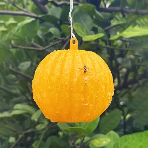 Hanging Adhesive Fly Trap
