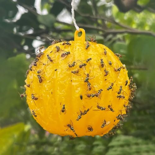 Hanging Adhesive Fly Trap