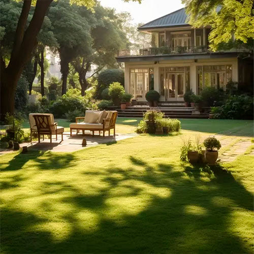 🔥⏰Last day promotion: 🌱 Four-season evergreen dwarf grass seed🌾 Create your lawn in hours🌼