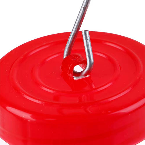 Hummingbird Feeder, Special Designed