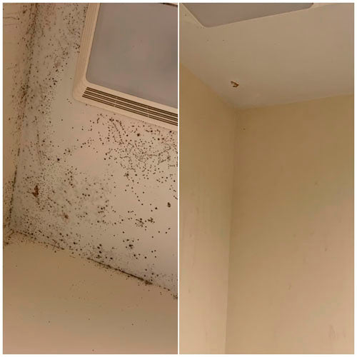 🔥🔥Mildew Cleaner Foam