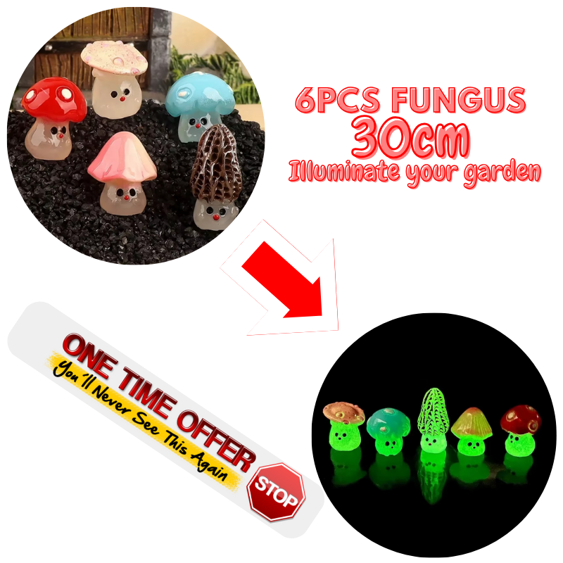 luminous Fungus For Garden - special Halloween