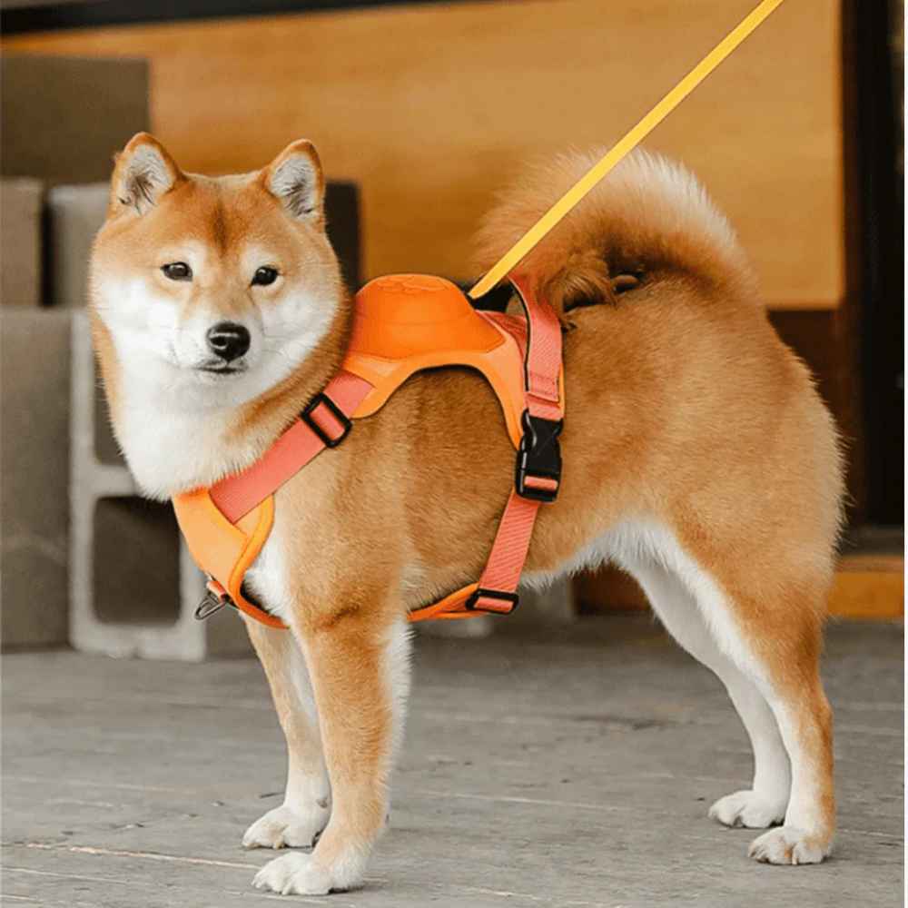 2-in-1 No Pull Dog Harness & Retractable