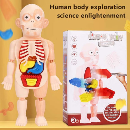 🔥Halloween Children's Enlightenment Toys