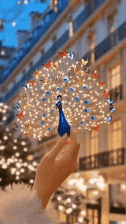 The Peacock is a Symbol of Good Luck and Prosperity.