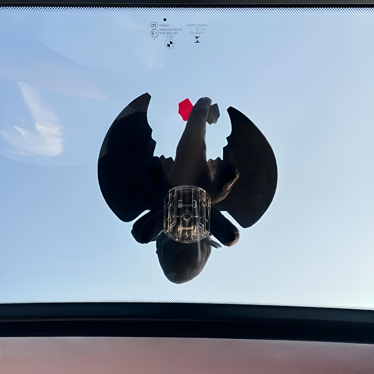 🔥Last Day Promotion 50% OFF-🦖 Dragon Car Accessory